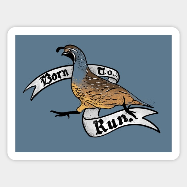 Born to Run - Quail Sticker by Animal Prints